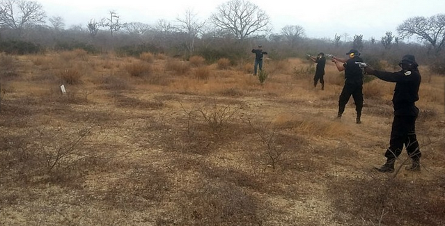 Captura de pantalla 2026-02-11 191925